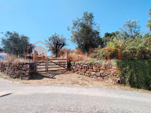 RÚINA T3, COM UM ANEXO PRONTO A HABITAR, CARAVANA COM 8MT E 7.945 MT2 DE TERRENO