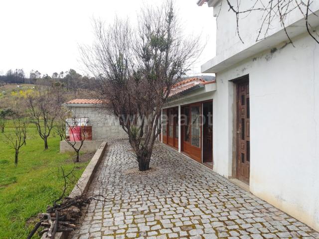Quintinha T1 / Covilhã, Erada