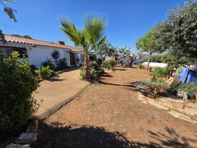 Quintinha T3 com Jardim e Olival | Próxima de Estremoz