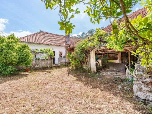 Quintinha T3 com 3.400 m² e vistas deslumbrantes sobre a Serra de Aire e Candeeiros |