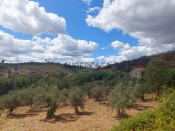 Quintinha Venda em Figueiró da Serra e Freixo da Serra,Gouveia