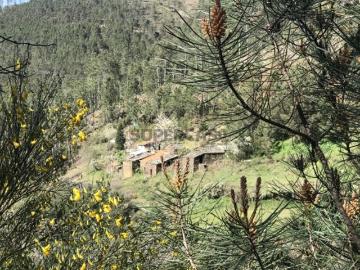 Loriga, Distrito de Guarda