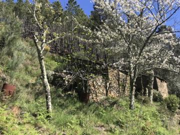 Casa à venda em Vide