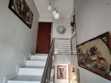 Greater Tzaneen Local Municipality, Mopani District Municipality, Limpopo