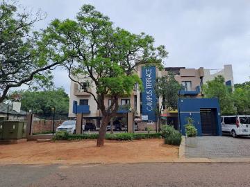 Hatfield, City of Tshwane Metropolitan Municipality, Gauteng, South Africa