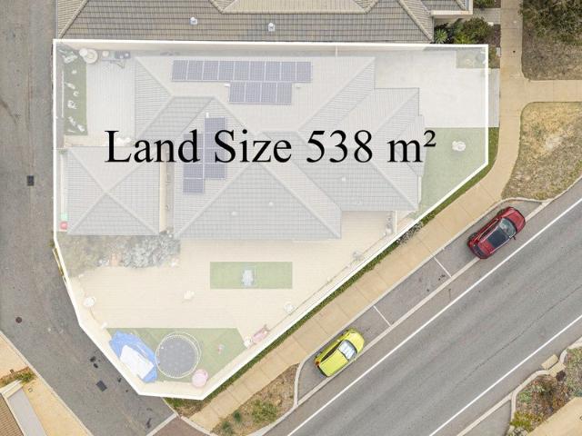 R60 Subdivision or Granny Flat Potential for Positive Cashflow and Equity Upside!