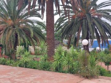 Edenvale, City of Ekurhuleni Metropolitan Municipality, Gauteng, South Africa