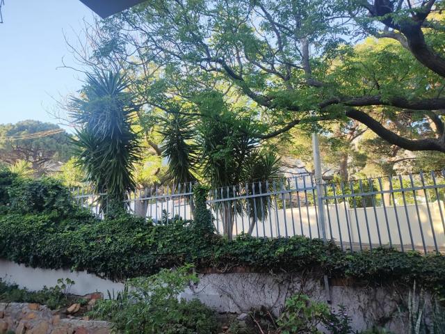 R8 000 | 0.5 Bedroom Apartment / Flat For Rent in Vredehoek, Cape Town