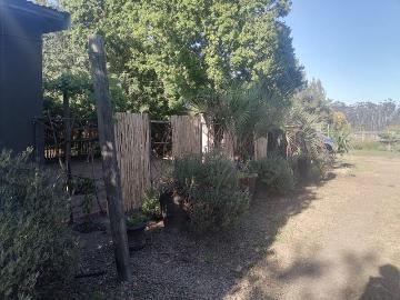 Wellington, Drakenstein Local Municipality, Cape Winelands District Municipality, Western Cape