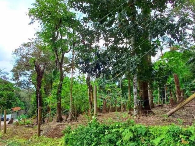 R$ 599.000,00 CHÁCARA A VENDA COM 3000M² TOQUE TOQUE PEQUENO 11 9 9194 5074 WhatsApp. 24h