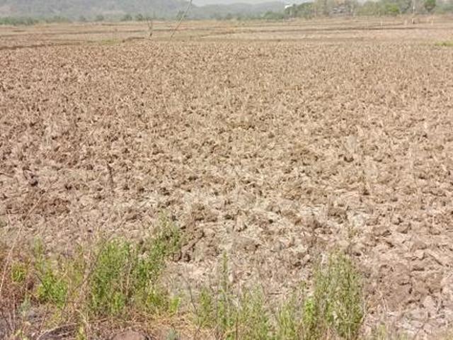 Rama Pen,Pen Residential Plot For Sale Raigad