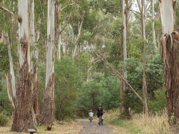 Hurstbridge, Nillumbik, Victoria