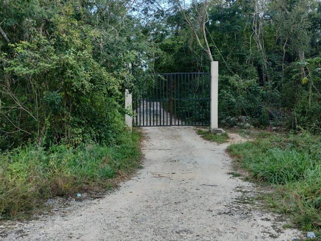 RANCHO 16.71 HECTAREA EN VENTA EN CHEMAX YUCATAN A 900 METROS DE LA CARRETERA