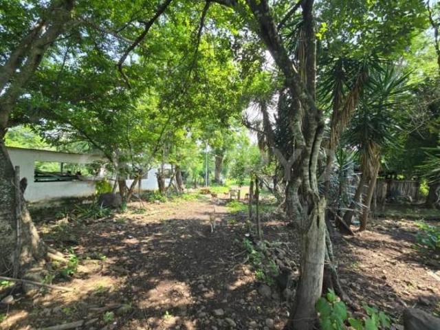 Rancho 86 Hectareas, Soledad de Doblado, Veracruz