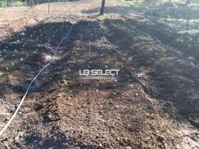 Rancho a 97 km de Uberlândia na região de Cascalho Rico com 3.500 metros quaderados