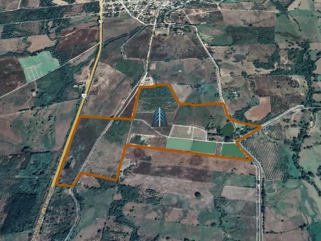 Rancho Agrícola y Acuícola de 47 Hectáreas en Venta en Tomatlán