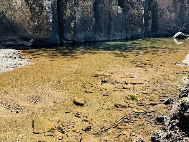 RANCHO GANADERO EN VENTA EN LA SIERRA DE CHIHUAHUA