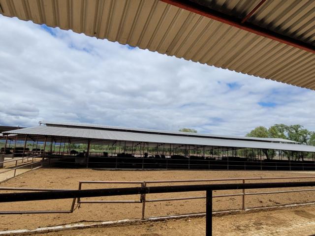 Rancho Ganadero en Venta en San Jos? Iturbide, Guanajuato