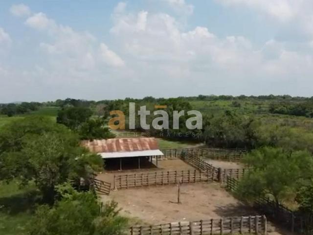RANCHO GANADERO Y AGRICOLA EN VENTA EN PANUCO