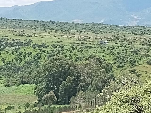 Rancho de 128.5 has con energ?a el?ctrica y suministro de agua