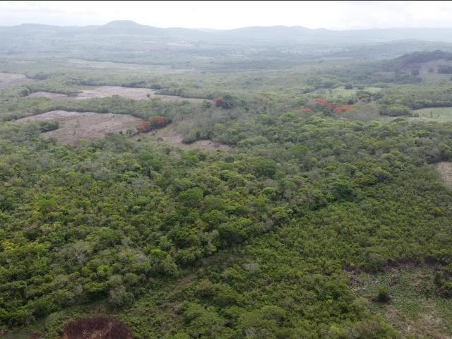 Rancho de 396 hect?reas en Ocozocoautla de Espinosa, Chiapas