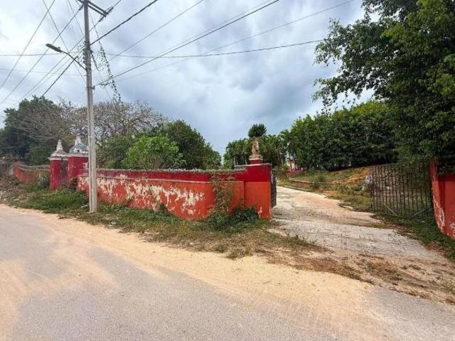 Rancho de 53 HA ideal para Ganadería en Chapab, entre Mama y Ticul, Yucatán