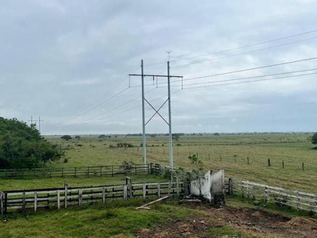 Rancho de 80 hectáreas en Venta en Tlacotalpan