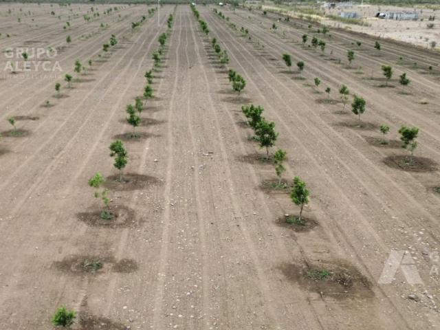Rancho en Chihuahua