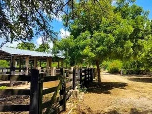 Rancho en Hocaba en el kilómetro 40 de la carretera Mérida Cancún