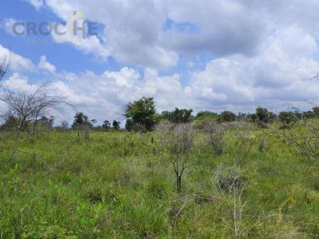 Rancho en Limones, Cosautlan, Veracruz 25 Hectareas