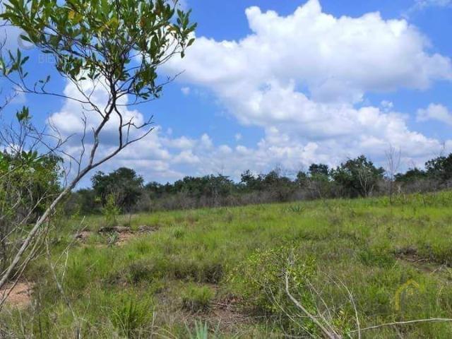 Rancho en Limones, Cosautlan, Veracruz 25 Hectareas