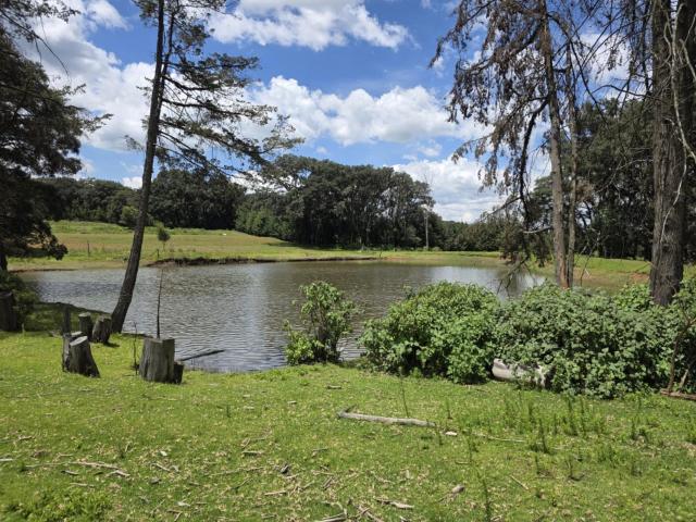 Rancho en Nicol?s Romero