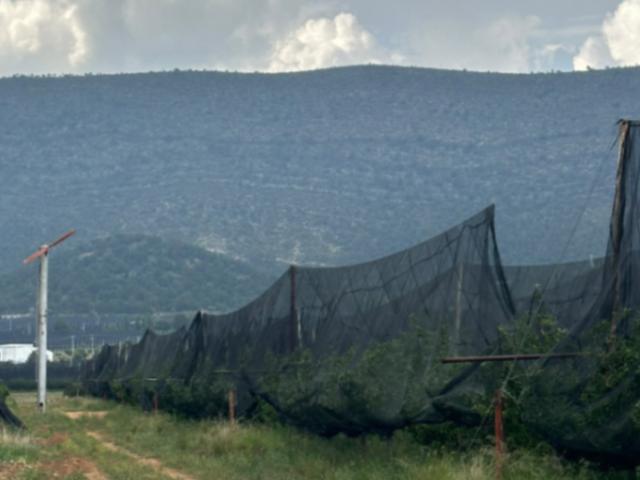 RANCHO EN PRODUCCIÓN DE MANZSNA, ARTEAGA COAHUILA