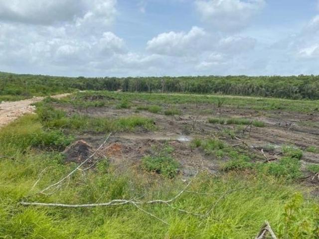 Rancho en Tekax 482 hectareas propiedad privada