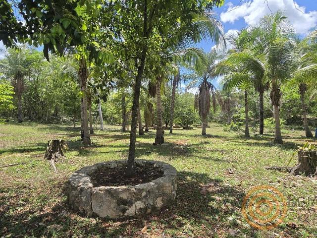 Rancho en TixcacalcupulRanchos en Venta en Tixcacalcupul, Yucat?n ? Proyecto Ecol?gico con Cenotes 2 Predios