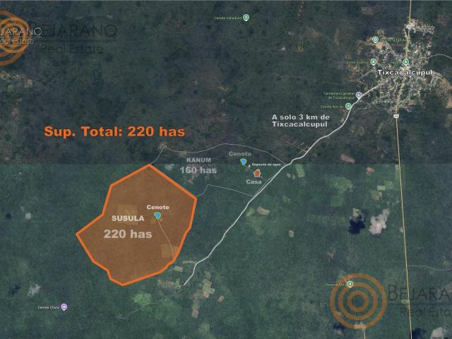 Rancho en TixcacalcupulRanchos en Venta en Tixcacalcupul, Yucat?n ? Proyecto Ecol?gico con Cenotes 2 Predios