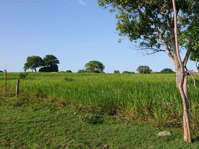RANCHO EN VENTA