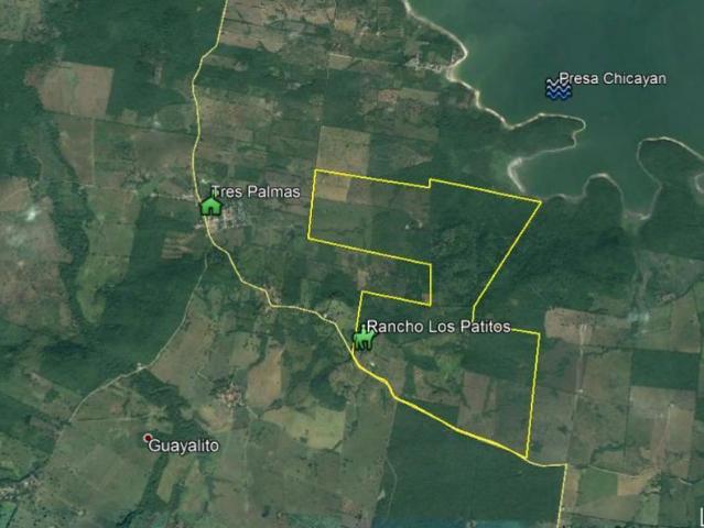 Rancho en venta 241 hectareas en tempoal