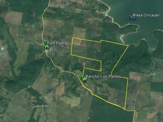 Rancho en venta 241 hectareas en tempoal