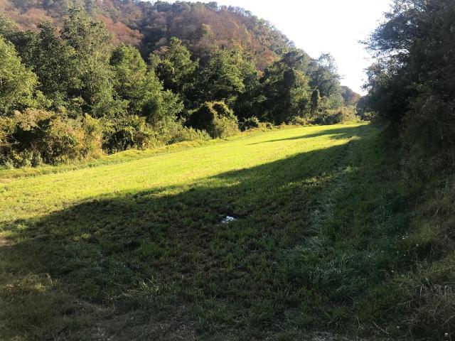 Rancho en Venta