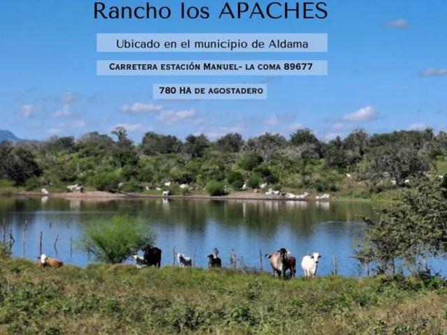 Rancho en venta 780 Hectareas Carretera Manuel / Aldama La Coma