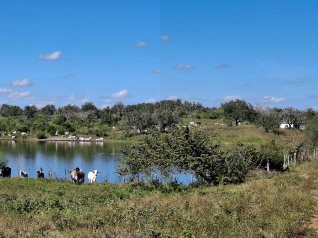 Rancho en venta 780 Hectareas Carretera Manuel / Aldama La Coma