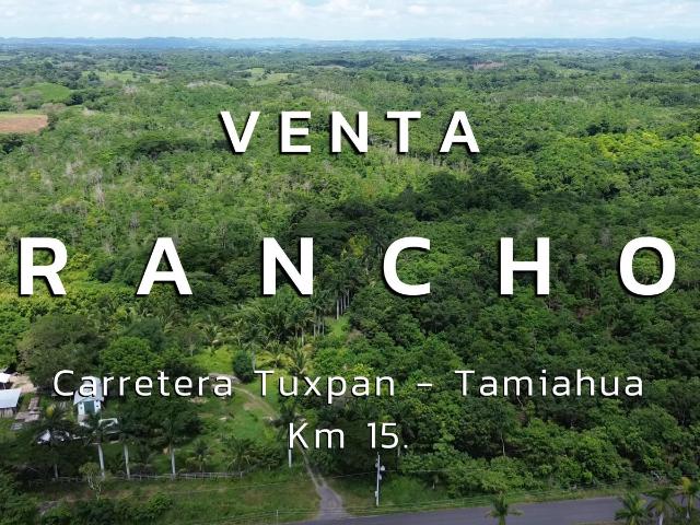 RANCHO EN VENTA CON ARBOLES DE MELINAS EN PRODUCCI?N