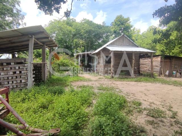 RANCHO EN VENTA CON ARBOLES DE MELINAS EN PRODUCCI?N
