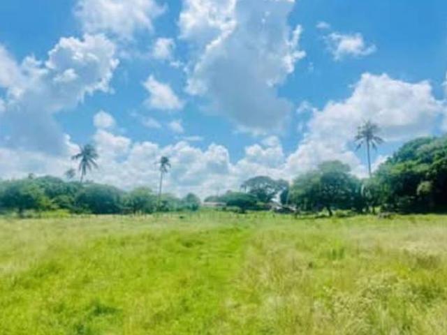 RANCHO EN VENTA A ORILLA DE CARRETERA EN ALVARADO, VERACRUZ