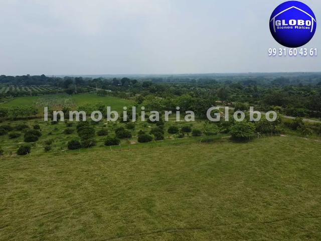 Rancho en venta, ganadero y agrícola. 78 hectáreas, zona alta no inundable, a 30 kms de Huimanguillo