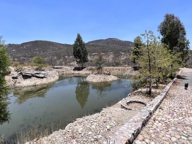 Rancho en venta Dolores Hidalgo Guanajuato GPS
