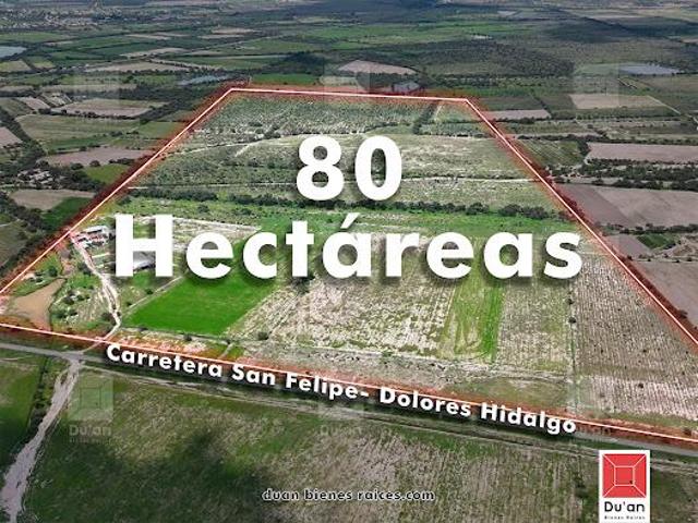 Rancho en venta de 80 Ha, en San Felipe, Guanajuato. Con casa, bodega y estanque para 3 a?os