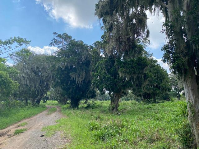 Rancho en Venta en Aldama