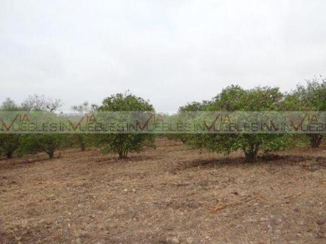 Quinta en venta en Los Sabinos